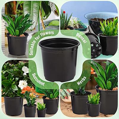 VIVOSUN 50pcs 6 Inch Planter Nursery Pots, Plastic Pots for Flower Seedling