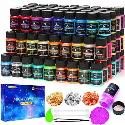 Chameleon Mica Powder, 10 Colors Epoxy Resin Pigment Color Shift Shimmering  Mica Powder Holographic for Resin Tumbler Painting Soap Making Bath Bombs