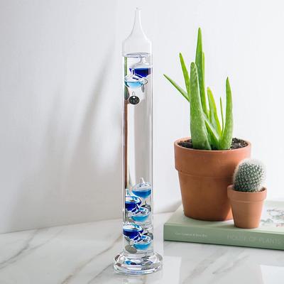 Outdoor Hanging Galileo Thermometer 