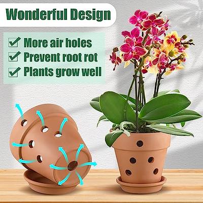 Terracotta Pots for Plants 3 Pc Set 4 Inch 5 In 6 Inch Planters