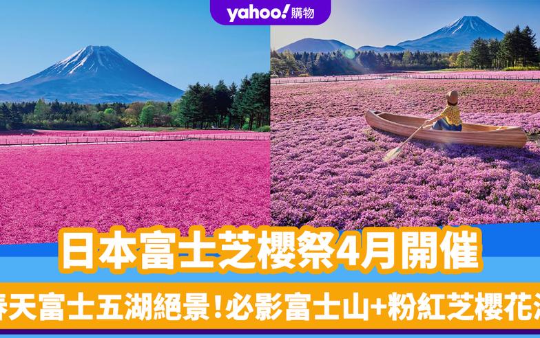 日本旅遊｜富士芝櫻祭4月開催！春天富士五湖絕景 必影富士山+粉紅芝櫻花海 附購票連結