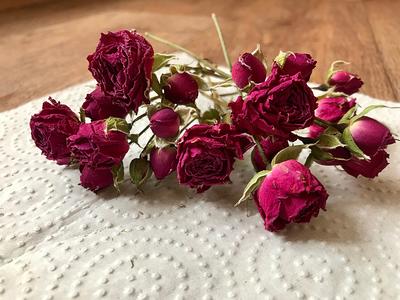 Dried Purple Roses/Dried Flowers/Small Roses/Resin Jewelry/Dried