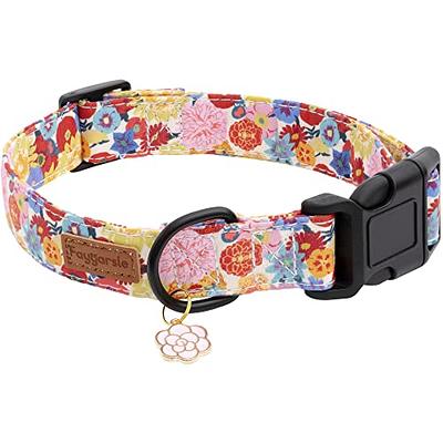 Faygarsle Cotton Designer Dogs Collar Cute Flower Dog Collars for Girl  Female Small Medium Large Dogs with Flower Charms M