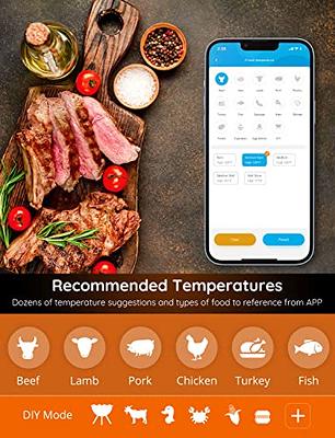  Govee Bluetooth Meat Thermometer, Wireless Meat Thermometer for  Smoker Oven, Digital Grill Thermometer with 2 Probes, Timer Mode, Smart LCD  Backlight BBQ Thermometer for Cooking Turkey Fish Beef: Home & Kitchen