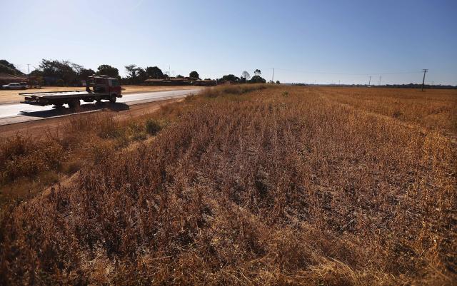 ARIQUEMES, BRAZIL - JUNE 26: A truck passes a soy field in deforested section of the Amazon rainforest on June 26, 2017 near Ariquemes, Rondonia state, Brazil. Soy production in Brazil is a significant contributor to deforestation. Deforestation is increasing in the Brazilian Amazon and rose 29 percent between August 2015 and July 2016. According to the National Institute for Space Research, close to two million acres of forest were destroyed during this timeframe amidst a hard hitting recession in the country. According to the Environmental Defense Fund, 'Deforestation causes climate change on a global scale, and is responsible for about 15 percent of the world's greenhouse gas emissions.