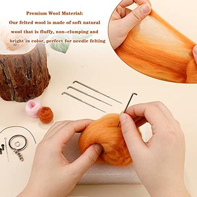 Needle Felting Kits, Needle Felting Starter Kit With Instructions, Needle  Felting Pad, Felting Wool, Felting Needles, Keychain And Split Ring Etc.