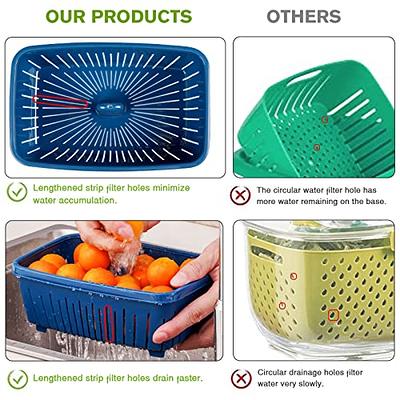 Vegetable Storage Container For Refrigerator, Fresh Container 3 In