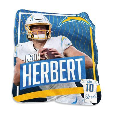 NFL Detroit Lions 11 Cloud Pillow, 1 Each