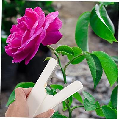 Yardwe Flower Punching Pliers Fresh Flowers Bouquet Ladies Suits Stripper  Outfits Sets Flower Arrangement Accessories Rose Thorn Cleaner Florist Leaf  Stripper Thorn Leaf Cleaner Stripper - Yahoo Shopping