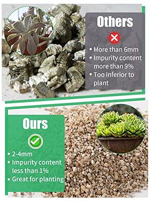 Premium Horticultural Vermiculite for Indoor Plants and Gardening