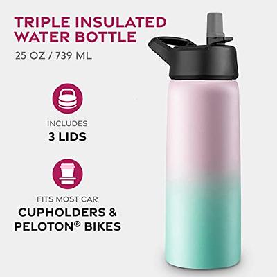 FineDine Insulated Water Bottles with Straw - 25 Oz Stainless Steel Metal Water  Bottle W/ 3 Lids - Reusable for Travel, Camping, Bike, Sports - Dreamy Pink-Green  - Yahoo Shopping