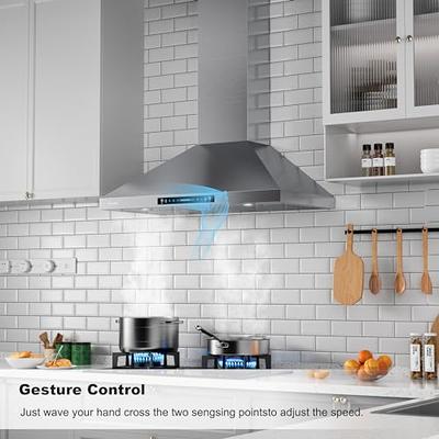 VEVOR 30 in. Wall Mount Range Hood Ductless Kitchen Stove Vent