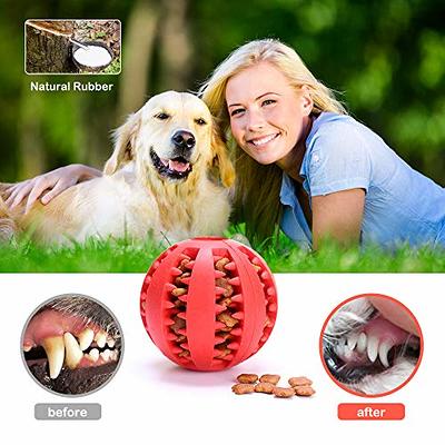 Voovpet Dog Ball Indestructible Strawberry Rubber Chew Treat Dispenser Dog  Toy, Tooth Cleaning Training Interactive Dog Toys for Small Medium Large  Dog - China Dog Chew Toys and Chewers price