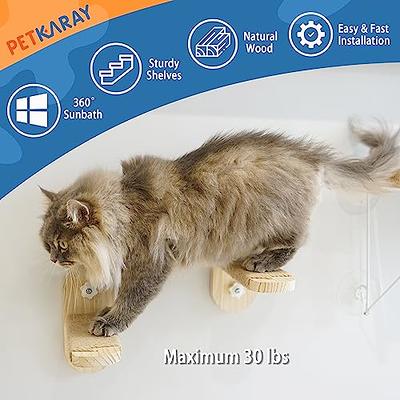 Cat Window Perch, Cat Window Hammock for Indoor Cats, Easy to Adjust &  Assemble Large Cat Bed Seat for Windowsill, Bedside,Drawer and Cabinet