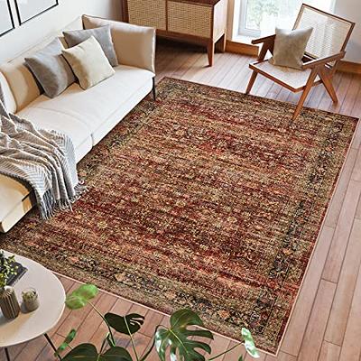Stain and Fade Resistant Indoor Living Room Scatter Rug Non Slip Backing  17X30