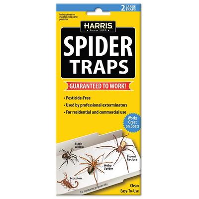 Black+decker Mouse Trap & Fly Trap- Indoor for Home- Pest Control Sticky Traps & Spider Traps for Insects (36-Pack)