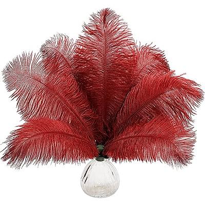 Ballinger 24pcs Natural Black Ostrich Feathers 10-12inch (25-30cm) for Wedding Party Centerpieces,Flower Arrangement and Home Decoration.