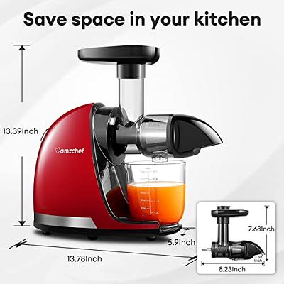 Amzchef-us KitchenAid Slow Masticating Juicer Attachment