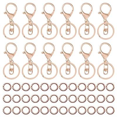 LEOBRO Keychain Clip and Key Ring, 100PCS Key Chain Rings and Keychain Hooks,  Metal Keyrings, Keychain Rings Key Rings Bulk, Keychains Key Rings for  Crafts, Keychain Kit Clip for Keychain Lanyard 