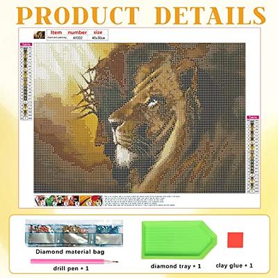 2-Pack Virgin Mary Diamond Painting Kits - Jesus 5D DIY Diamond Art for  Adults Kids - Full Drill Portrait Painting Home Wall Decor Gifts, 12x16in,  Pattern#4 