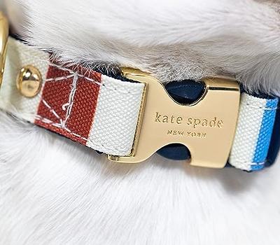 Kate Spade New York Cute Dog Collar, Gold Metal Buckle Dog Collar