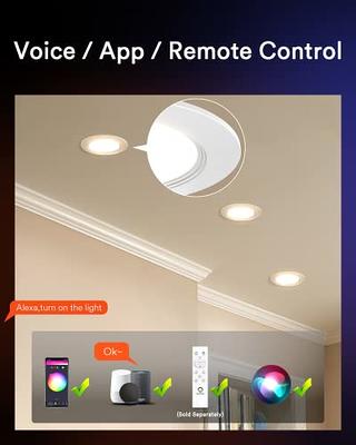 Lumary BT Remote Control - Adjust CCT for Smart Recessed Lighting