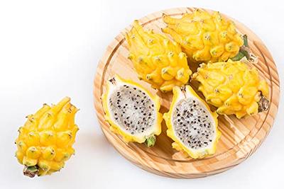 Buy Organic Yellow Dragon Fruit, GMO Free