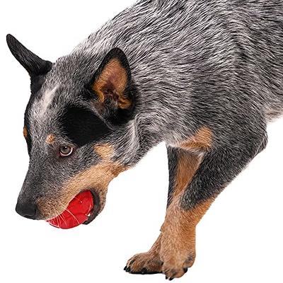 Pet Life Bark Active Neoprene Mesh Flotation Ball Fetch Dog Toy