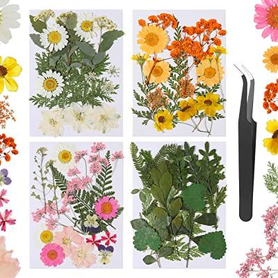 Pressed Flower, Flowers For Crafts, Pressed Resin, Mixed Dry Flowers, Flower  Art, Dried Flower, Jewelry Making - Yahoo Shopping