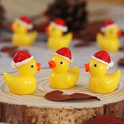 Mini Resin Duck Kit, Tiny Ducks Realistic Shape Mini Resin Ducks