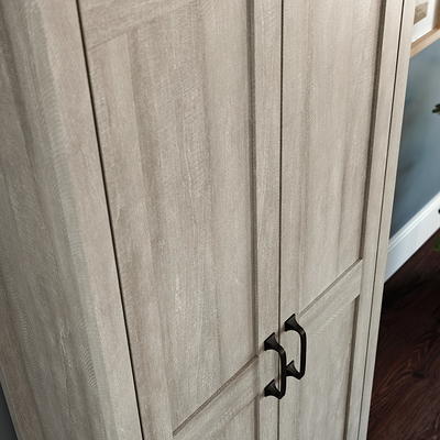 Sauder Two-Door Storage Cabinet in Blade Walnut