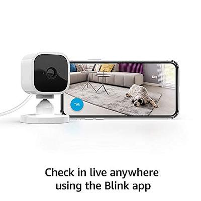 Blink Mini – Compact indoor plug-in smart security camera, 1080p HD video,  night vision, motion detection, two-way audio, easy set up, Works with  Alexa – 3 cameras (Black) - Yahoo Shopping