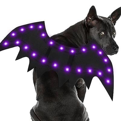 Dog Halloween Costumes - Spooky Collection - Fitwarm