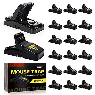 10 Pack Sticky Mouse Trap Rat Traps Indoor, Peanut Taste Pheromone Mouse  Traps Indoor for Home, Glue Sticky Traps for Mice and Rats, Snake(Large  Size)