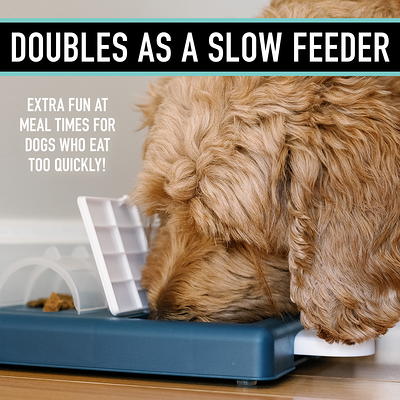 Puzzle Feeders and Interactive Feeders