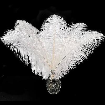 Piokio 10 pcs Natural White Ostrich Feathers 10-12 inch(25-30 cm) Bulk for  DIY Christmas Decorations, Wedding Party Centerpieces, Gatsby Decorations -  Yahoo Shopping