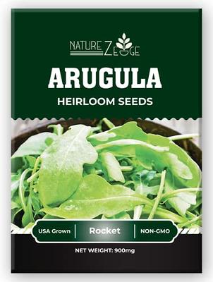 Rocket Arugula Seeds (Aka Roquette) | Heirloom | Organic