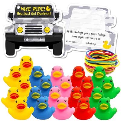 Artreeiger 60 Pcs Duck Tags Set Includes 20 Rubber Ducks 20 Ducking Tags  Car Shaped Duck Duck Tags Card 20 Multicolor Rubber Bands for Duck Game  Party Favors Gift Decoration Supplies - Yahoo Shopping