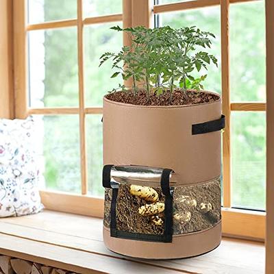 Sel Natural 2 Pack 10 Gallon Garden Potato Grow Bags with Windows Flap and  Handles Aeration Fabric Pots Heavy Duty Vegetable Planter Bag for Tomato,  Fruits,Carrots (Brown and Green) - Yahoo Shopping