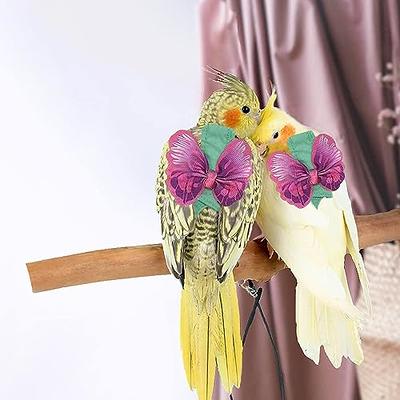 Bird Harness Adjustable Parrot Leash Harness Training Rope Flying Band Bird  Rope Outdoor Training Long Rope Belt Walking Lead