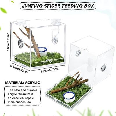 Zhehao 2 Pieces Jumping Spider Enclosure Acrylic Spider Terrarium Reptile  Breeding Habitat Box with Dropper Tongs for Tarantula Scorpion Sling  Isopods