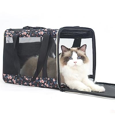 Pet Travel Carrier: Hard-Sided Carrier, Cat Carrier, Small Animal Carr –  PetsWorld