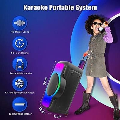 12 Portable Karaoke Bluetooth Speaker Wireless Sound System