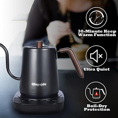 Gooseneck Electric Tea Kettle Pour-Over Kettle for Coffee, with 5 Variable  Presets, 100% Stainless Steel Inner, with Keep Warm and Mute Function 0.8L