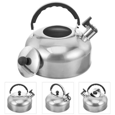 GANAZONO Whistling Tea Kettle Stainless Steel Stovetop Teapot 4L