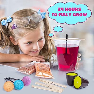 Arts And Crafts Animal Crystal Growing Kit for Kids Science Kits for Kids  Grow Crystal Science Experiments Toys Diy Projects Learning Education Toys  Gifts for Girls And Boys Plastic A 