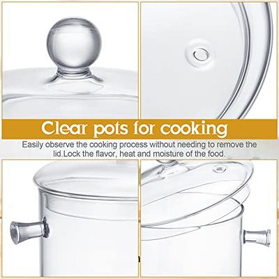 Glass Cooking Pot - 1.5l/50oz Heat-resistant Borosilicate Glass