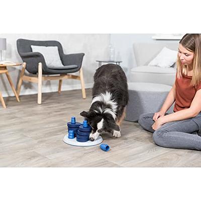 TRIXIE Dog Activity Ball and Treat Strategy Game, Level 3