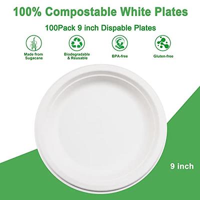 100% Compostable 9 Inch Paper Plates [150-Pack] Heavy-Duty Eco-Friendly  Disposable White Plate, Eco-Friendly Made of Sugarcane Fibers 9  Biodegradable