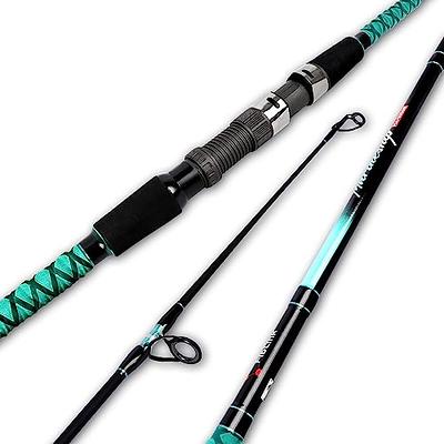 Fiblink Surf Spinning Fishing Rod 2-piece Graphite Travel Fisher